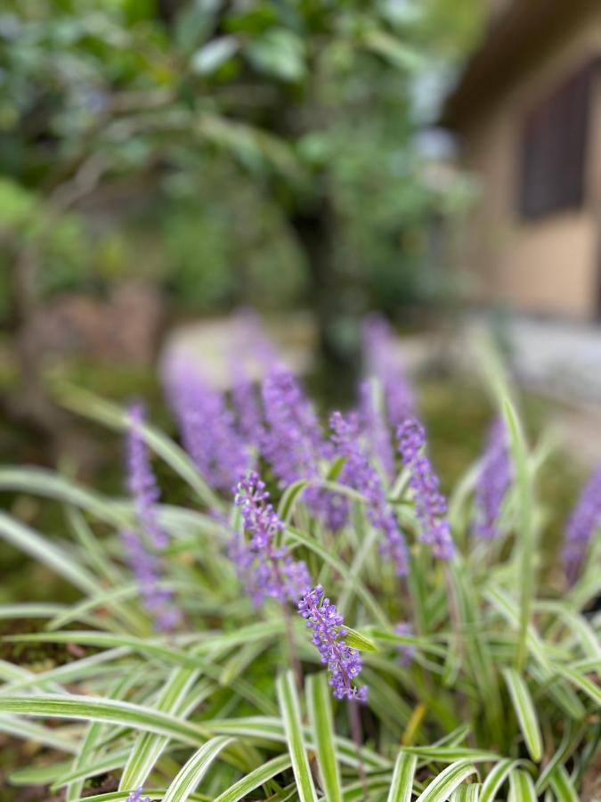 Ryokan Genhouin Κιότο Εξωτερικό φωτογραφία